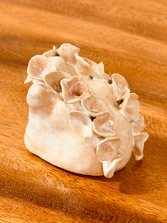 Teeny Wahine Collection - Hapai