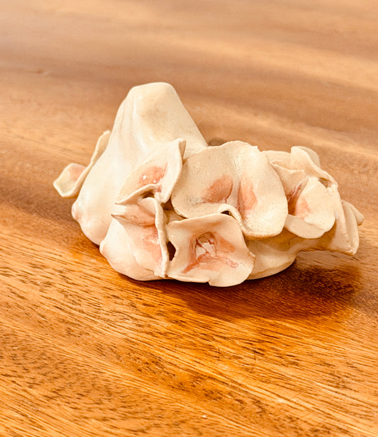 Teeny Wahine Collection - I