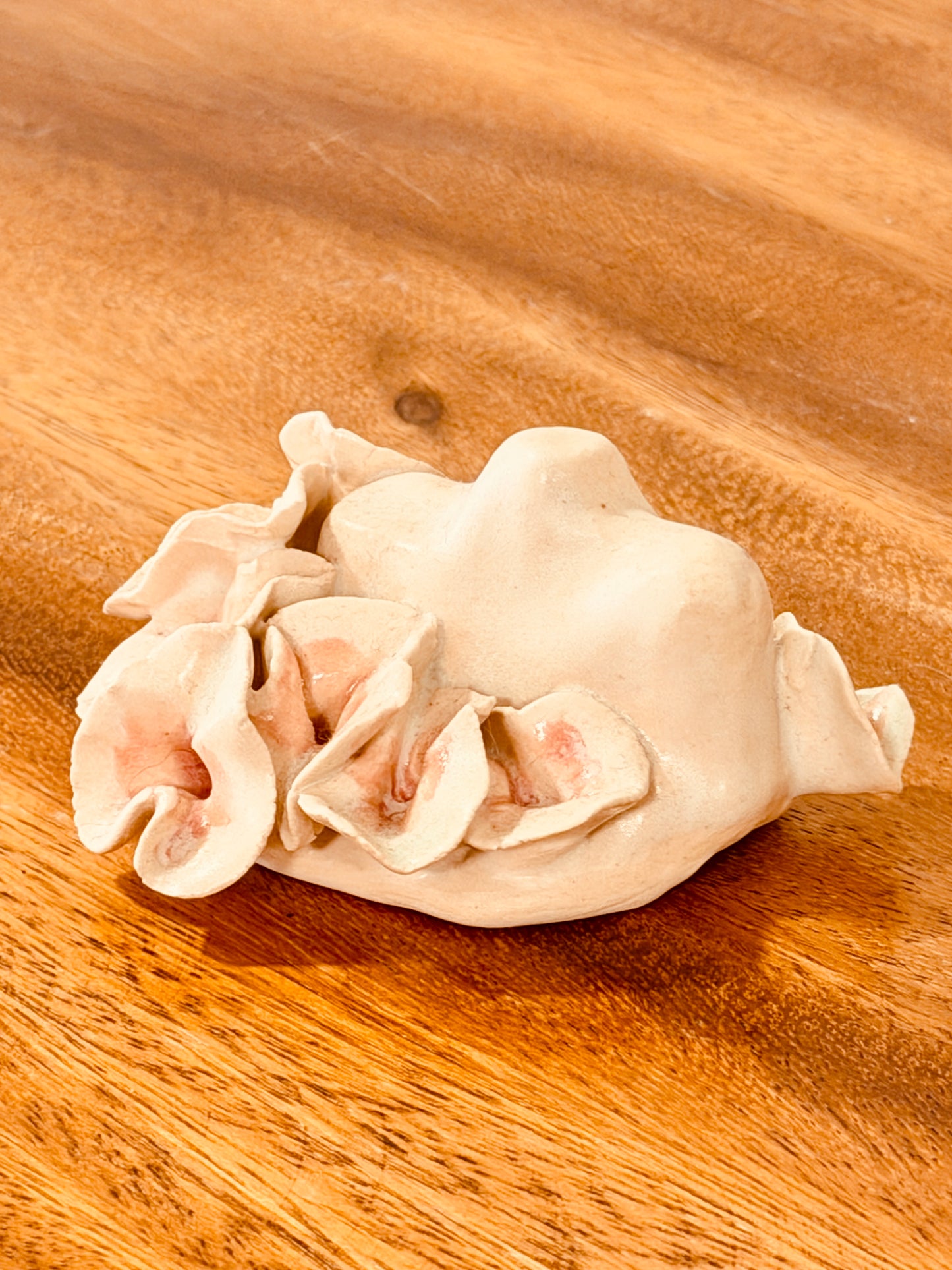 Teeny Wahine Collection - I