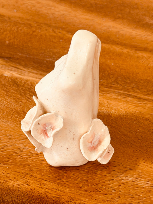 Teeny Wahine Collection - II