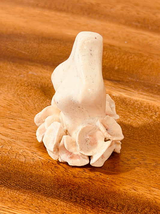 Teeny Wahine Collection - III