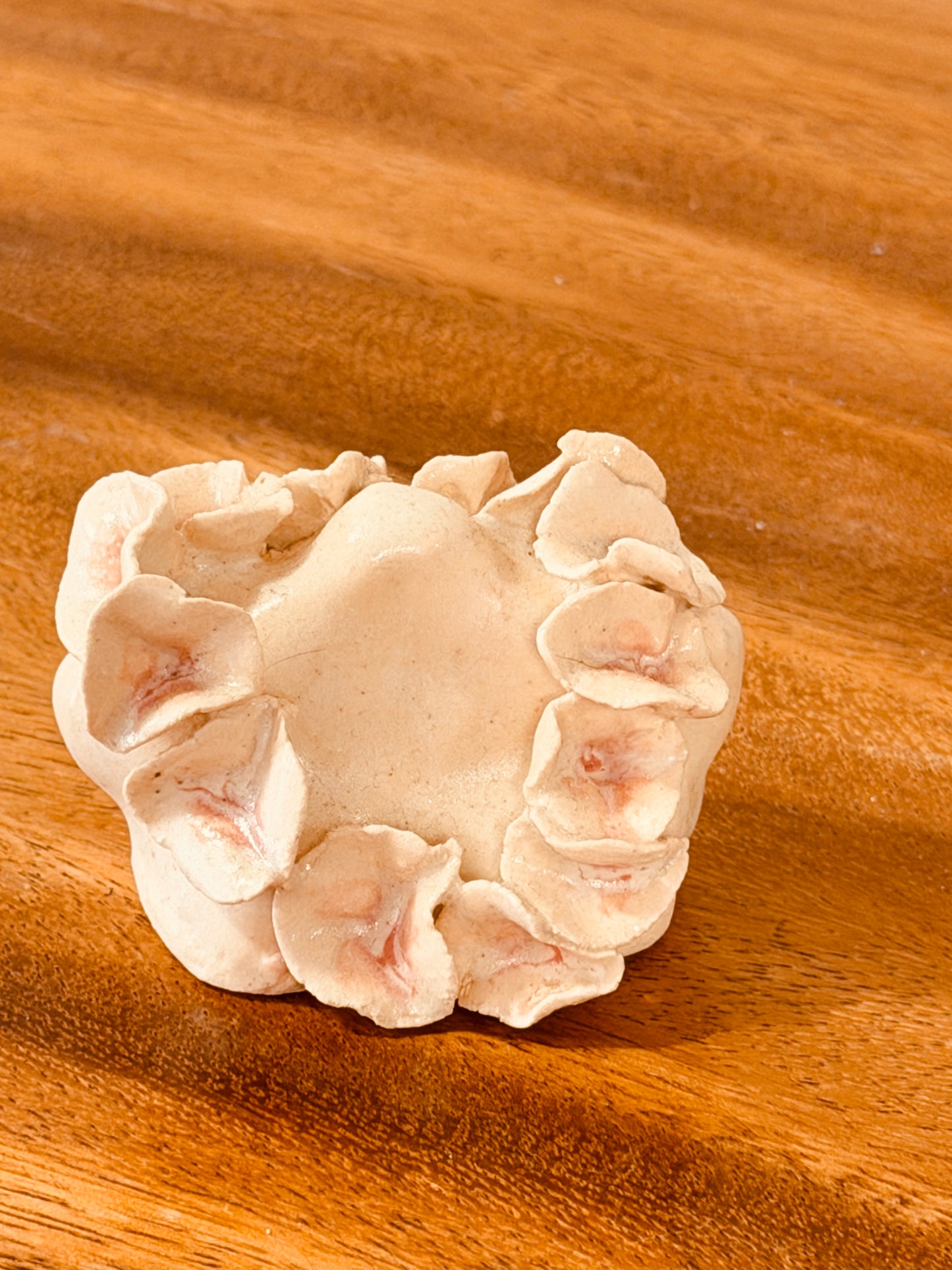 Teeny Wahine Collection - IV