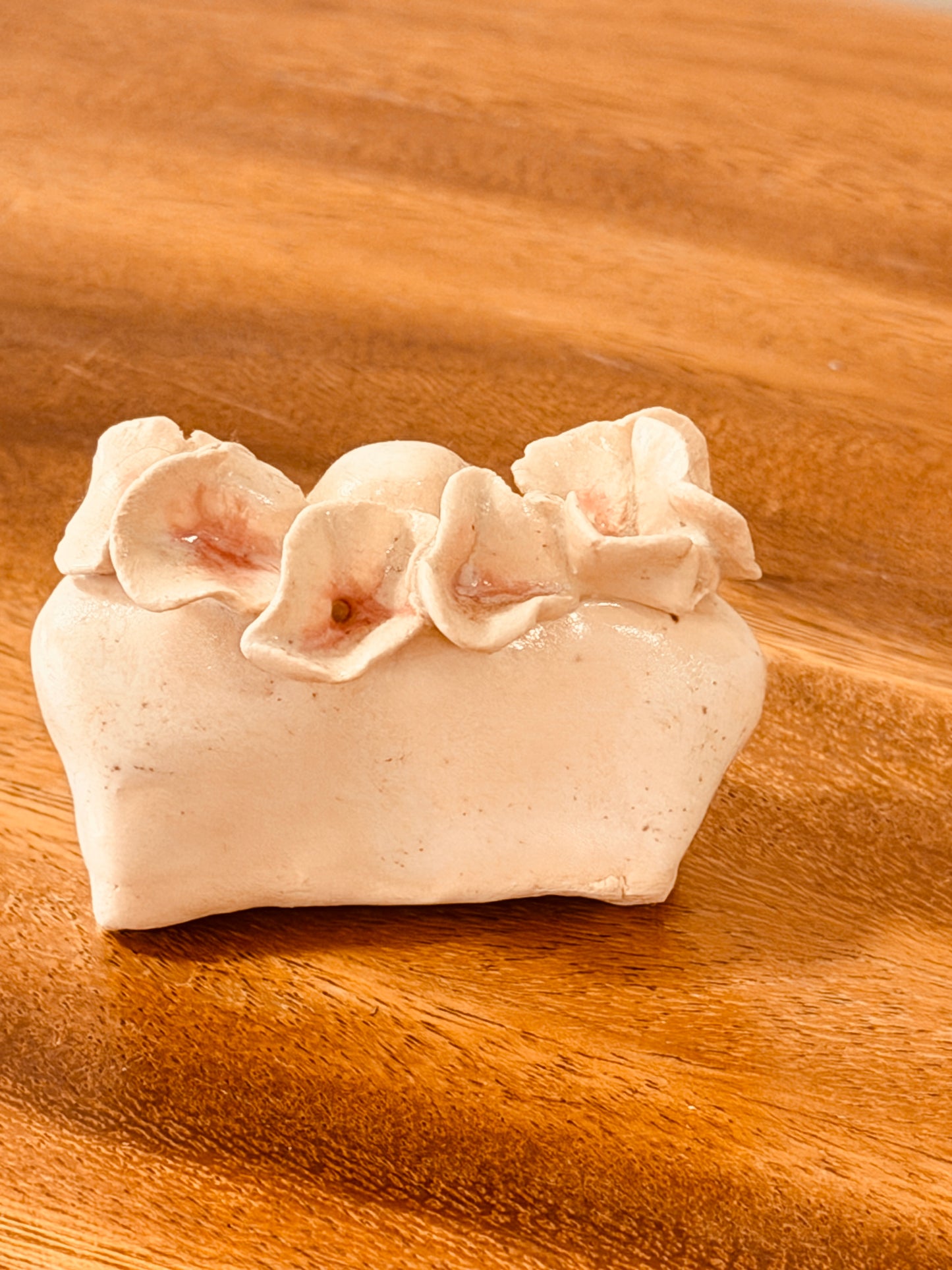 Teeny Wahine Collection - IV