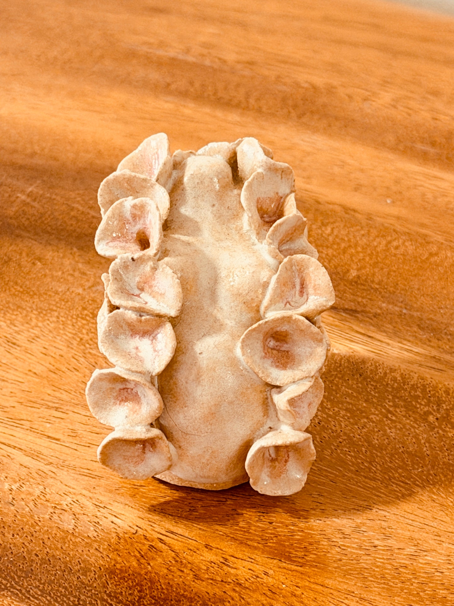 Teeny Wahine Collection - Hapai