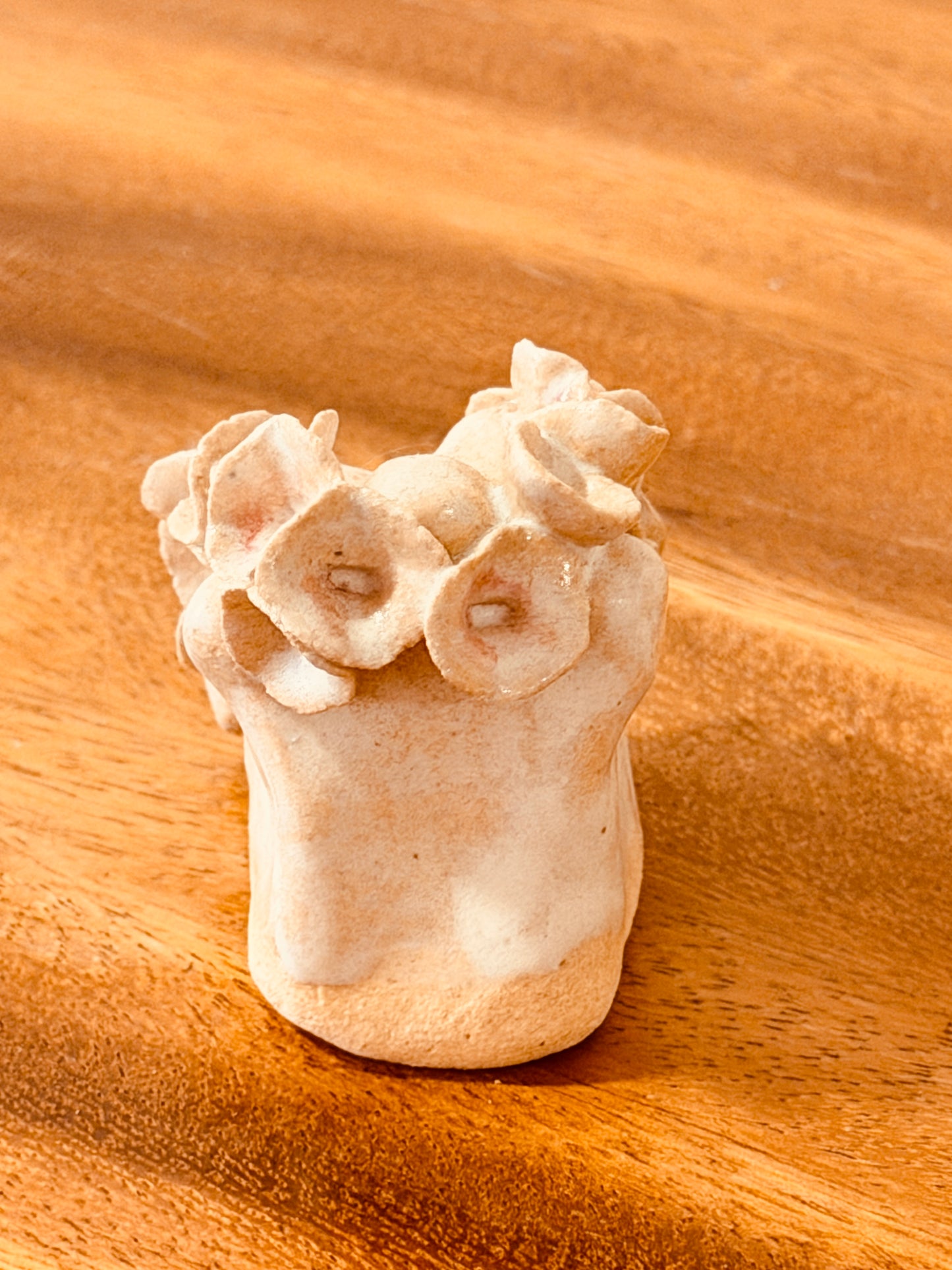 Teeny Wahine Collection - Hapai