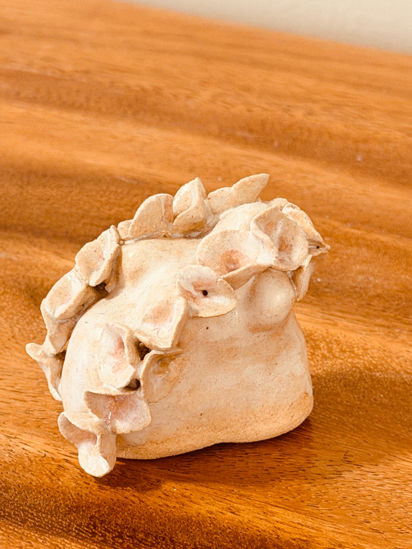 Teeny Wahine Collection - Hapai